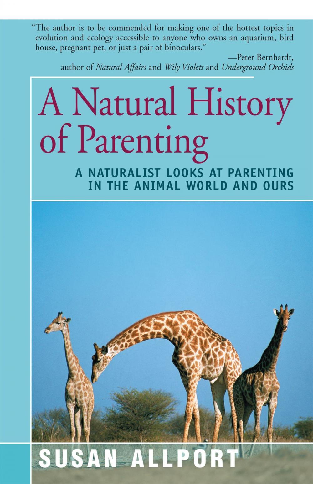 Big bigCover of A Natural History of Parenting