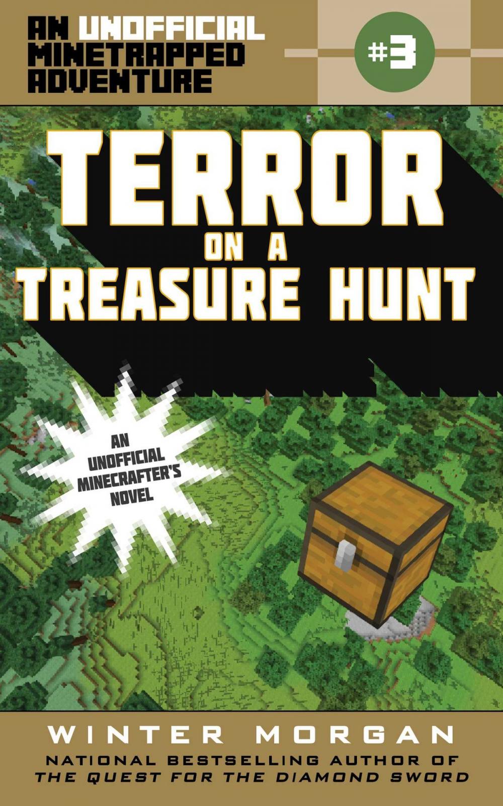 Big bigCover of Terror on a Treasure Hunt