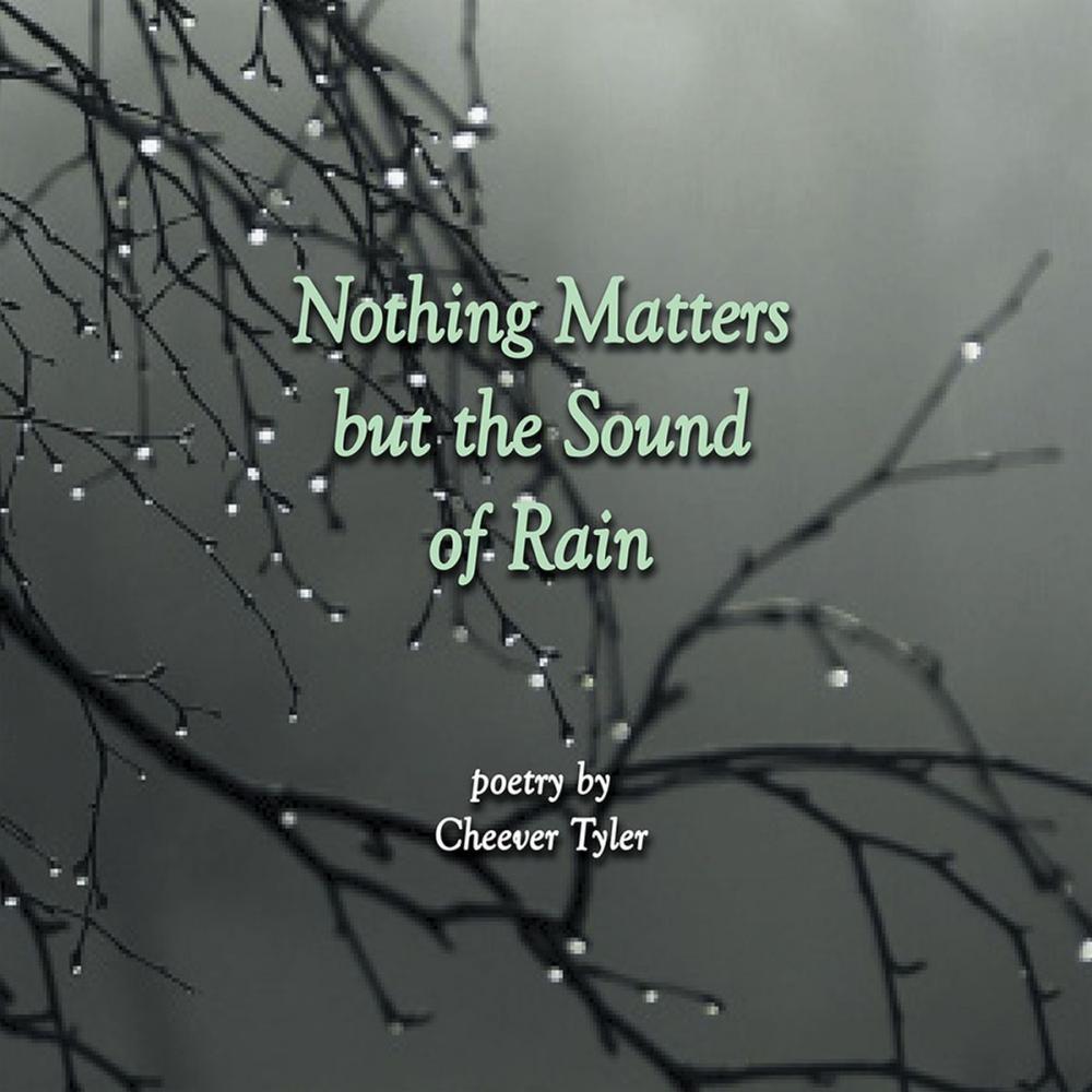 Big bigCover of Nothing Matters but the Sound of Rain