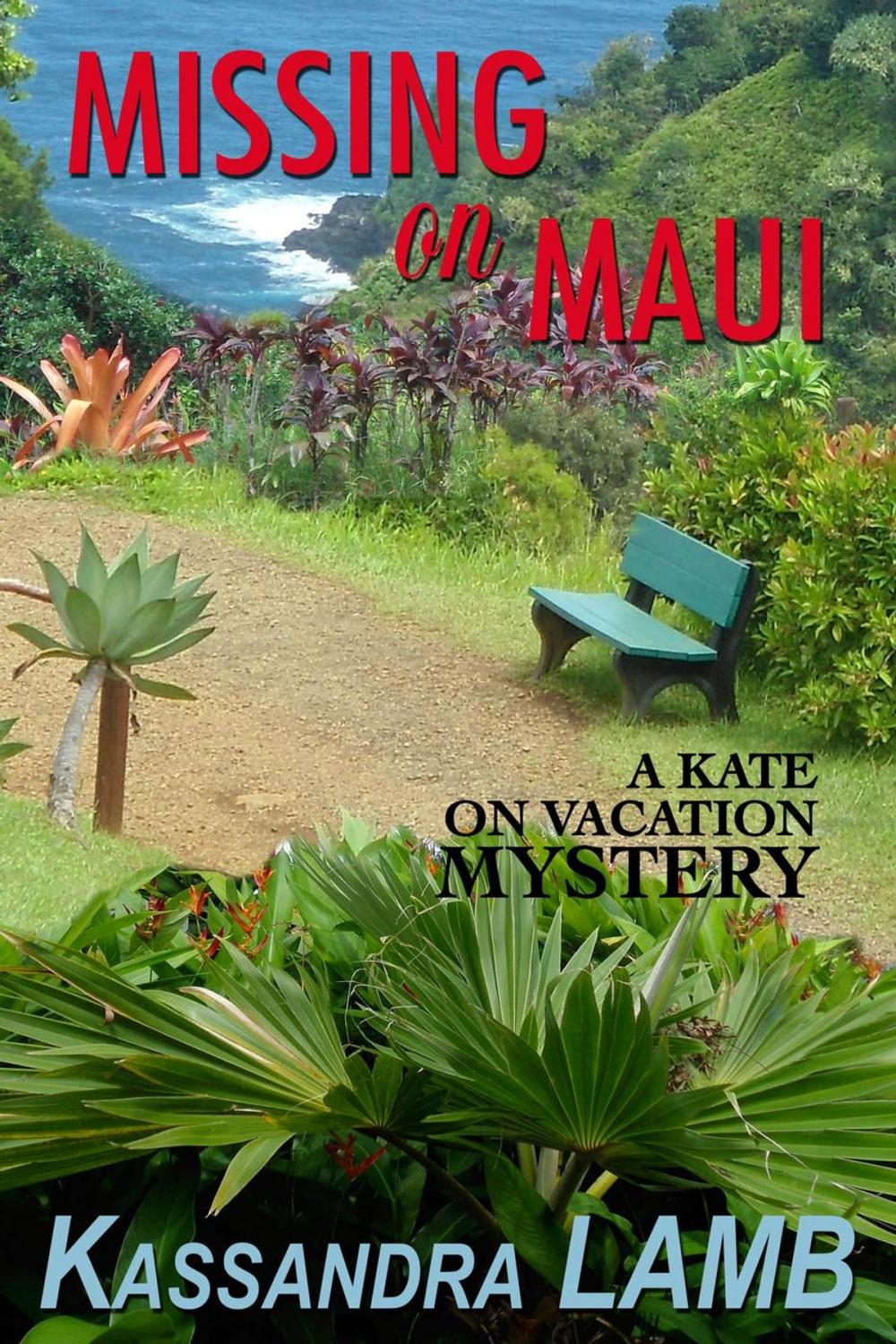 Big bigCover of Missing on Maui