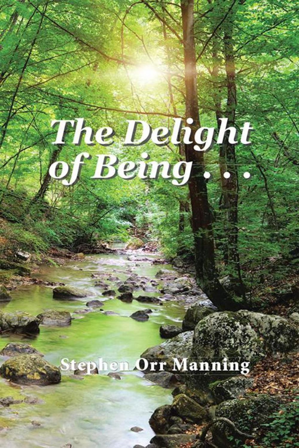 Big bigCover of The Delight of Being . . .