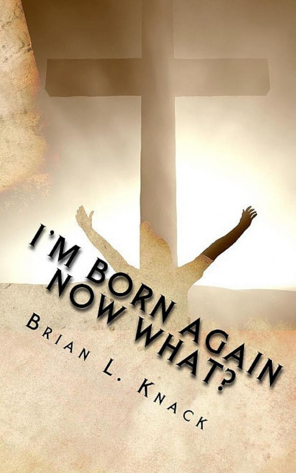 Big bigCover of I'm Born Again, Now What?