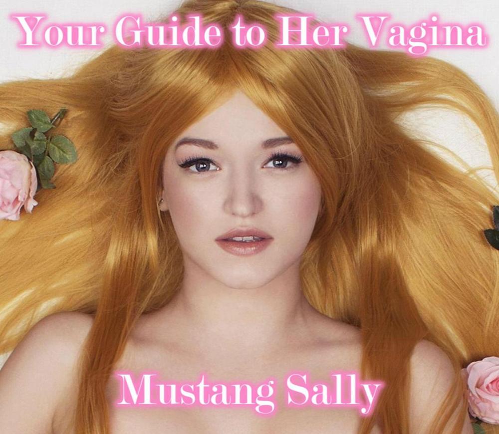 Big bigCover of Your Guide to Her Vagina