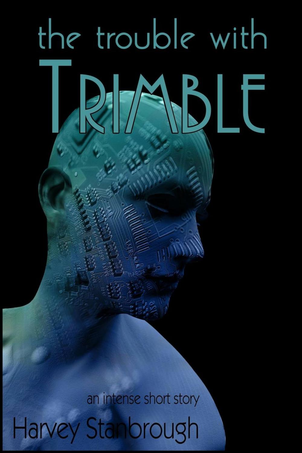Big bigCover of The Trouble with Trimble