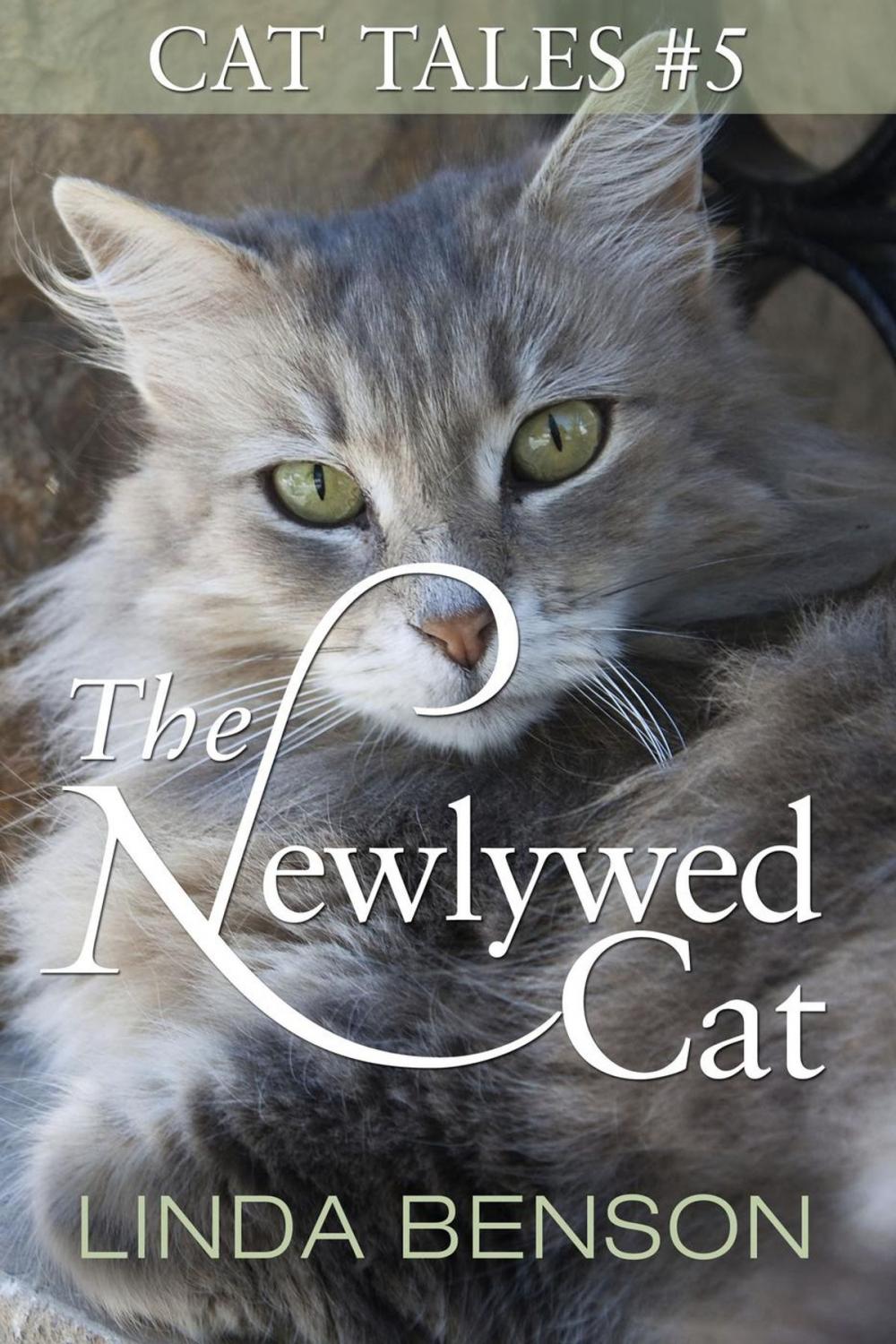 Big bigCover of The Newlywed Cat