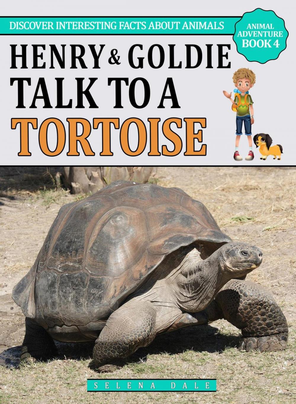 Big bigCover of Henry And Goldie Talk To A Tortoise