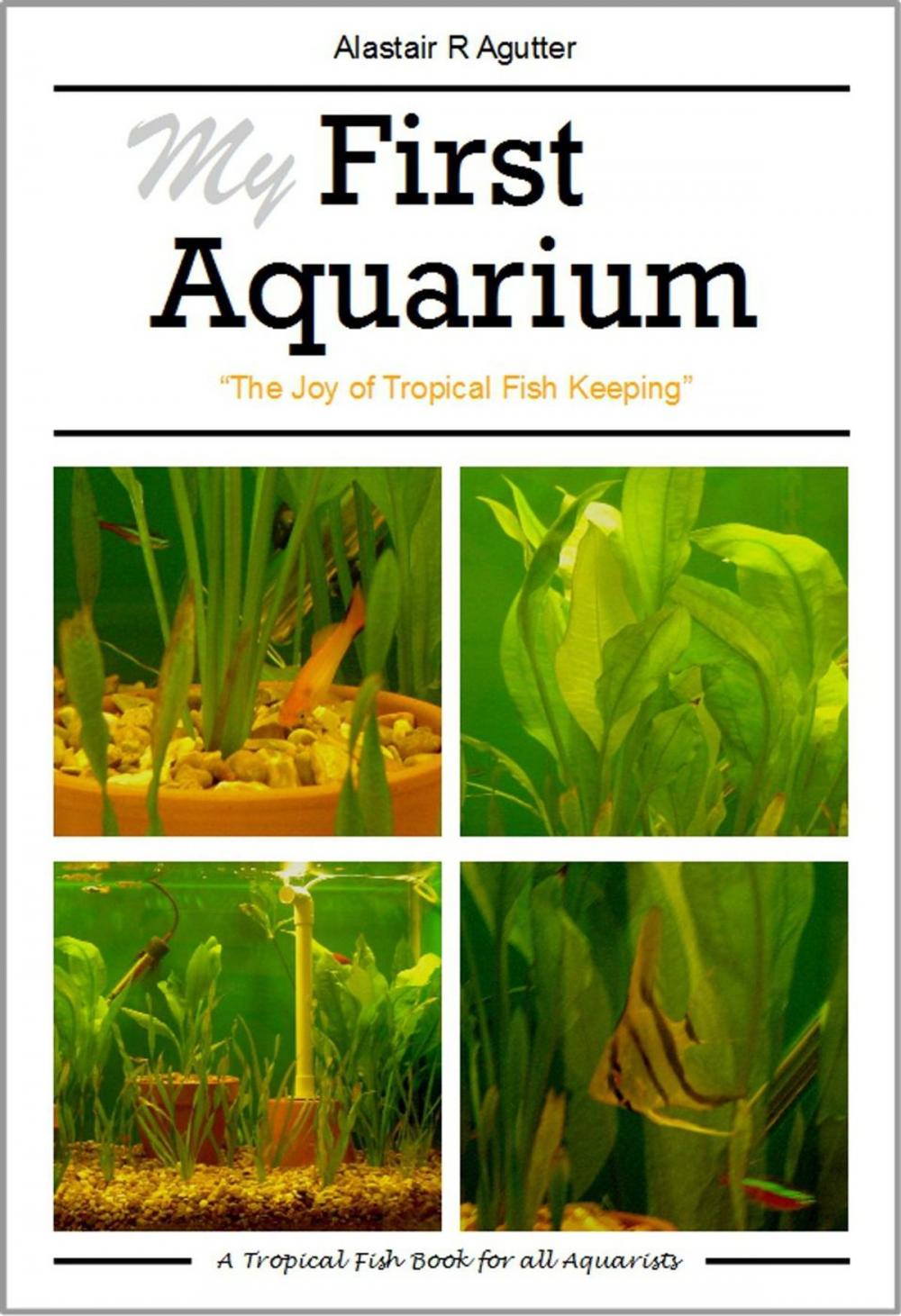 Big bigCover of My First Aquarium Book
