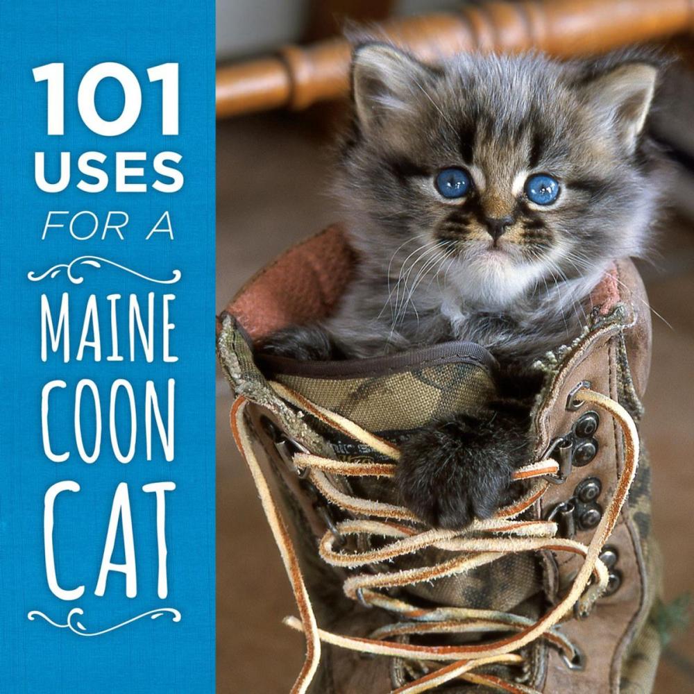 Big bigCover of 101 Uses for a Maine Coon Cat