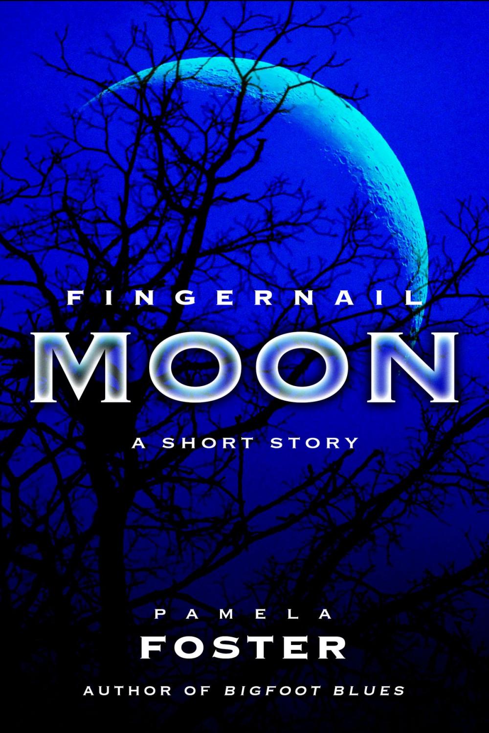 Big bigCover of Fingernail Moon