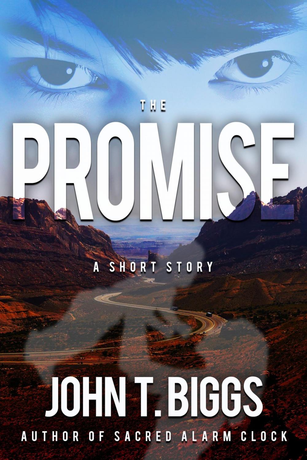Big bigCover of The Promise
