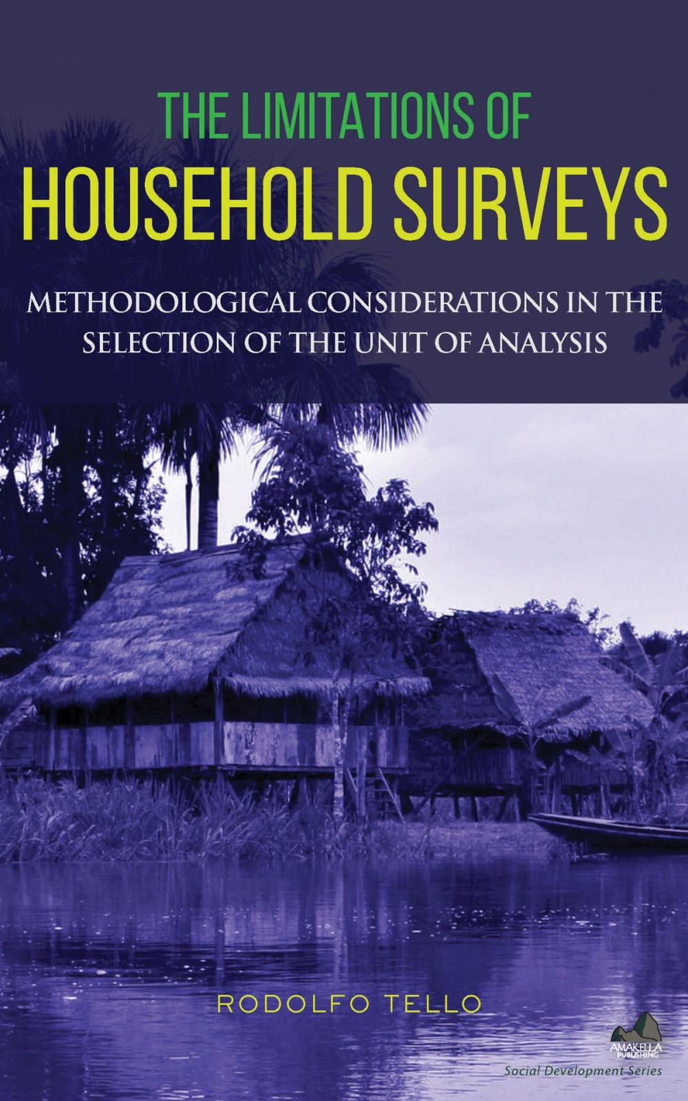 Big bigCover of The Limitations of Household Surveys: Methodological Considerations in the Selection of the Unit of Analysis