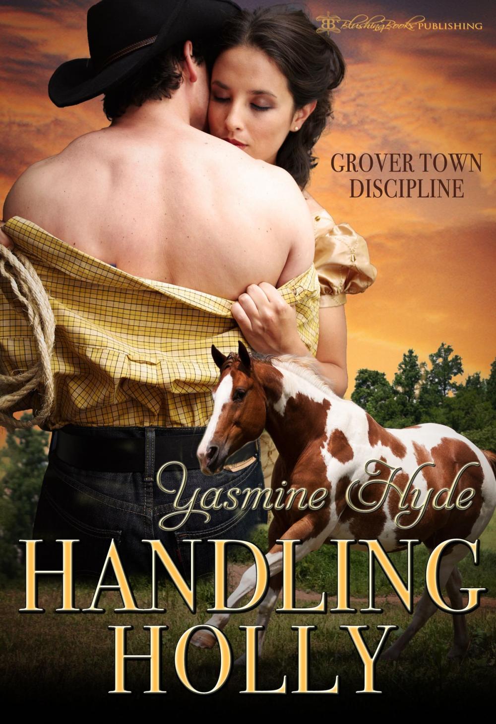 Big bigCover of Handling Holly