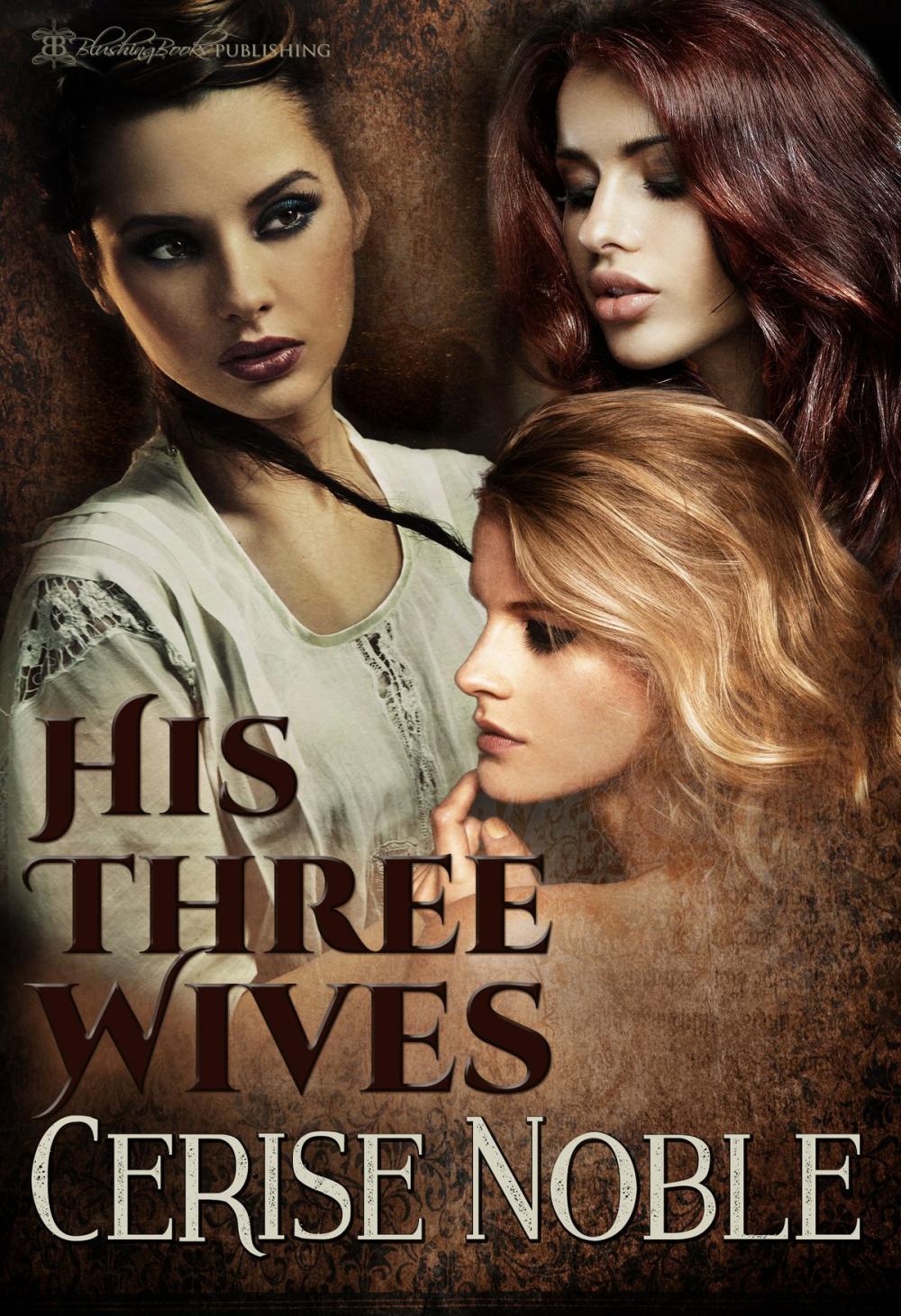 Big bigCover of His Three Wives