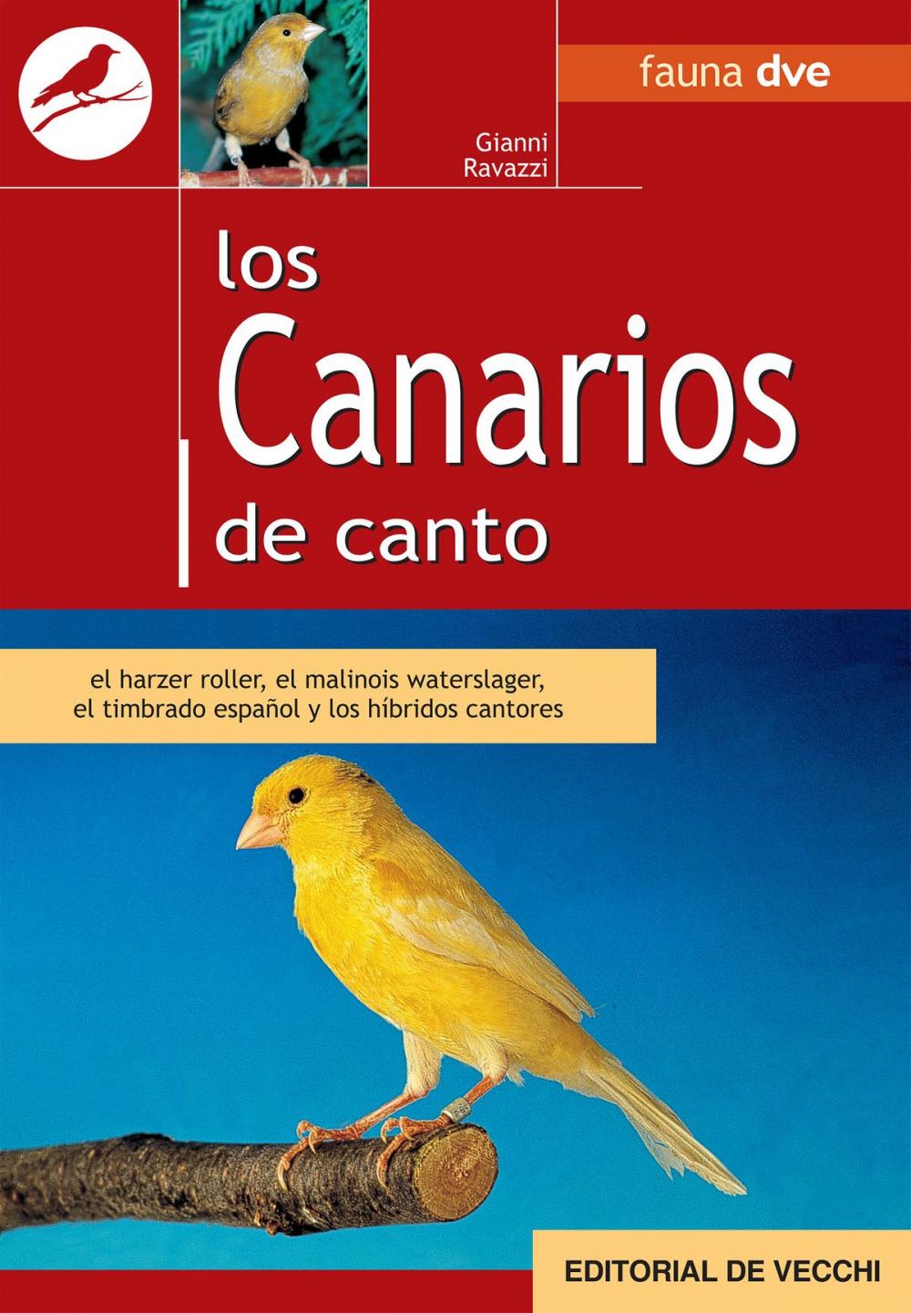 Big bigCover of Los canarios de canto