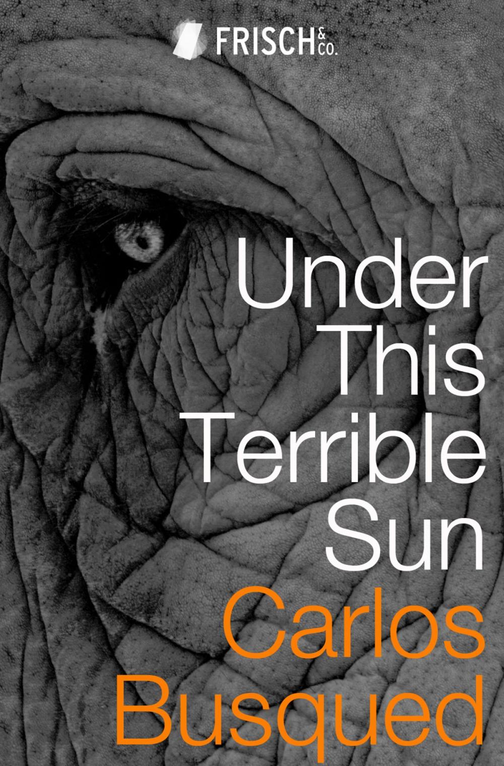 Big bigCover of Under This Terrible Sun