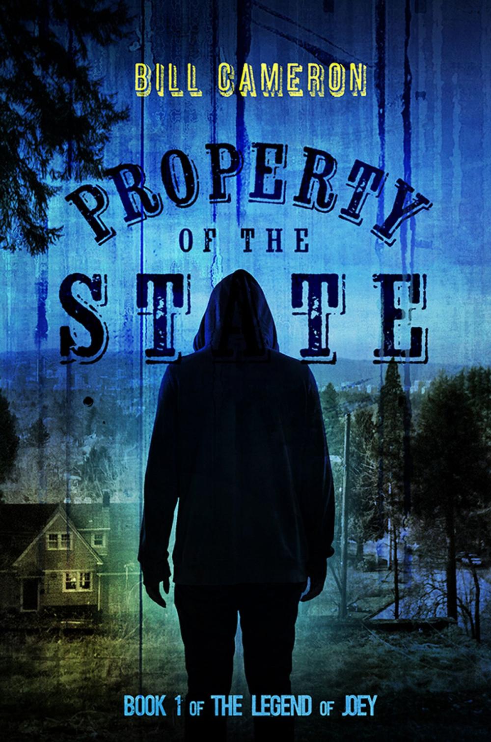 Big bigCover of Property of the State