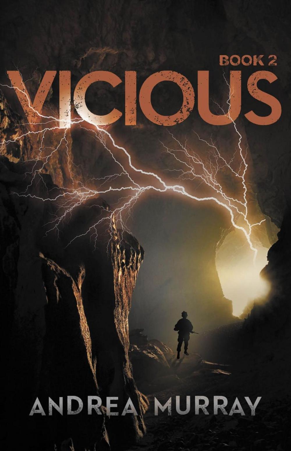 Big bigCover of Vicious