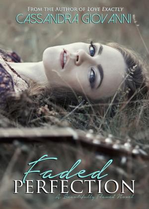 Cover of the book Faded Perfection by Stacey Lynn