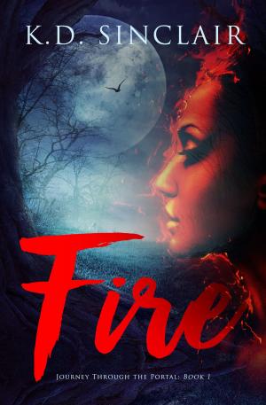 Cover of the book Fire by Isabelle Santiago