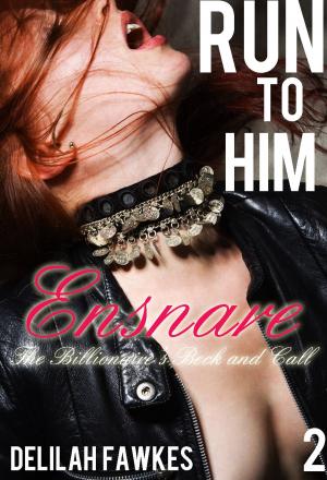 Book cover of Run to Him, Part 2: Ensnare