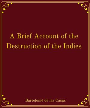 Cover of the book A Brief Account of the Destruction of the Indies by W.H. Davenport Adams