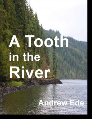 bigCover of the book A Tooth in the River by 