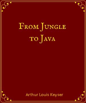 Cover of the book From Jungle to Java by James De Mille