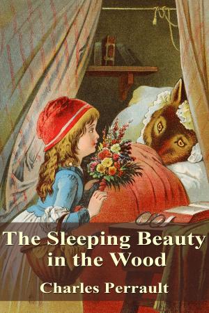 Cover of the book The Sleeping Beauty in the Wood by Oscar Wilde