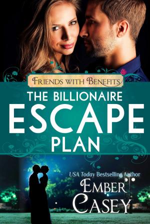 Book cover of The Billionaire Escape Plan