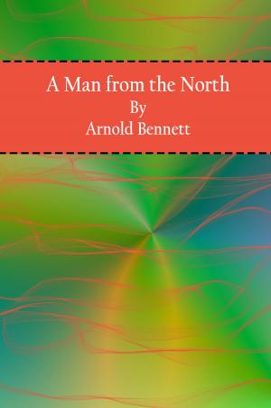 Cover of the book A Man from the North by Joel Chandler Harris