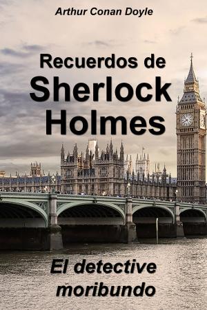 Cover of the book El detective moribundo by Wodke Hawkinson