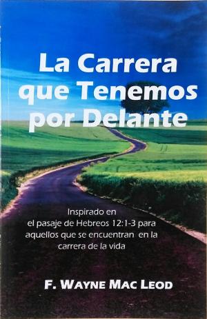 Book cover of La Carrera que Tenemos por Delante