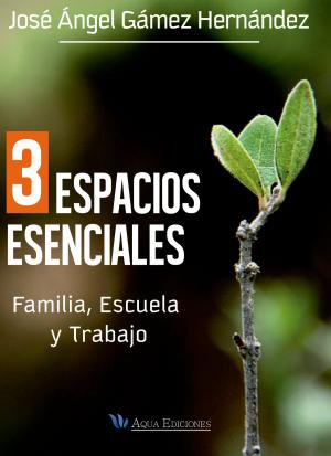 Cover of the book 3 Espacios esenciales by Jacques Gauvin