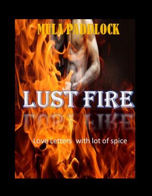 Cover of the book Lust Fire by CLEBERSON EDUARDO DA COSTA