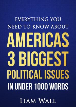 Book cover of Everything You Need To Know About America’s 3 Biggest Political Issues in Under 1000 Words