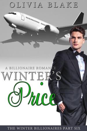 Cover of the book Winter's Price by JoJo Schroeder