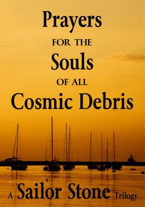 Book cover of Prayers for the Souls of all Cosmic Debris