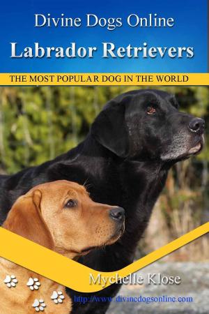 Book cover of Labrador Retrievers