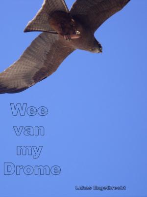 Cover of the book Wee van my Drome by António Carlos Cortez