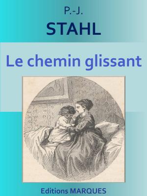 Book cover of Le chemin glissant