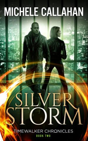 Book cover of Silver Storm