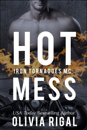 Cover of the book Hot Mess by Phine Scholz