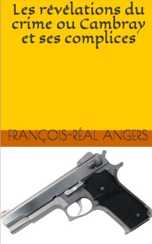 Cover of the book Les révélations du crime ou Cambray et ses complices by Hector Malot, DE LANOS	(illustrateur)
