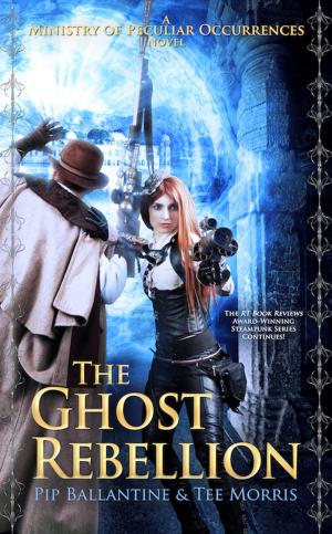 Cover of the book The Ghost Rebellion by Kristen Eckstein
