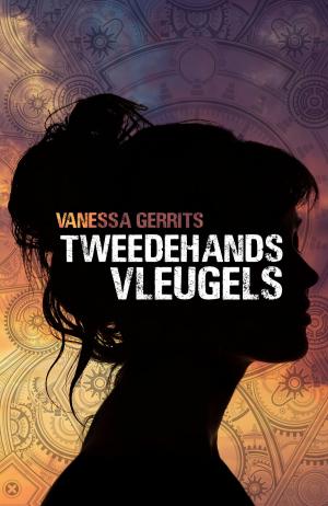 Cover of the book Tweedehands vleugels by Jennifer Murgia