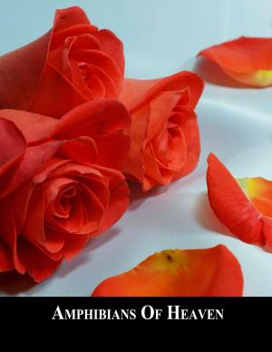 Cover of the book Amphibians Of Heaven by L.C. Alleyne