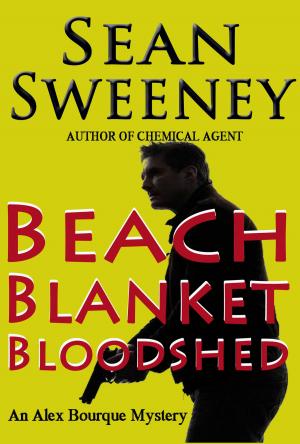 Cover of the book Beach Blanket Bloodshed: An Alex Bourque Mystery by Dianne Smithwick-Braden