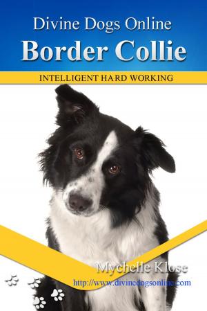 Book cover of Border Collies