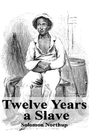 Cover of the book Twelve Years a Slave by Sigmund Freud