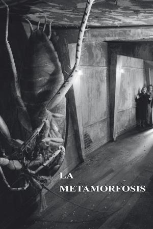 Cover of the book La metamorfosis by Gustavo Adolfo Bécquer